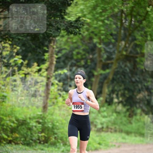 13.04.2025 - Hammer Lauf Dr. Thomas Lammeyer http://msf.ph/oto/7651362 13.04.2025 10:28:26 Laufen 1955 meine-sportfotos.de