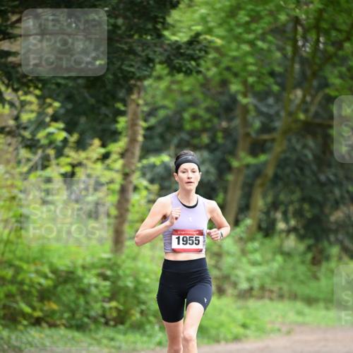 13.04.2025 - Hammer Lauf Dr. Thomas Lammeyer http://msf.ph/oto/7651368 13.04.2025 10:28:26 Laufen 15, 1955 meine-sportfotos.de