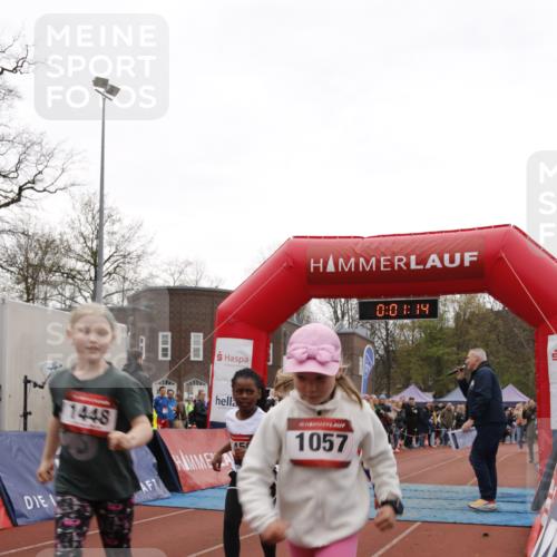 13.04.2025 - Hammer Lauf A. Gomolzig http://msf.ph/oto/7651397 13.04.2025 09:19:22 Ziel 402, 640, 680, 778, 794, 795, 803, 809, 810, 813, 820, 854, 866, 867, 893, 901, 941, 963, 964, 973, 1015, 1075, 1126, 1141, 1172, 1187, 1233, 1234 meine-sportfotos.de