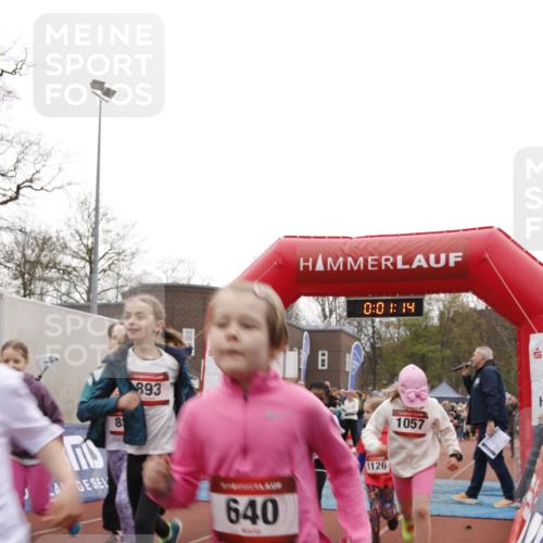 13.04.2025 - Hammer Lauf A. Gomolzig http://msf.ph/oto/7651400 13.04.2025 09:19:22 Ziel 402, 640, 680, 778, 794, 795, 803, 809, 810, 813, 820, 854, 866, 867, 893, 901, 941, 963, 964, 973, 1015, 1075, 1126, 1141, 1172, 1187, 1233, 1234 meine-sportfotos.de