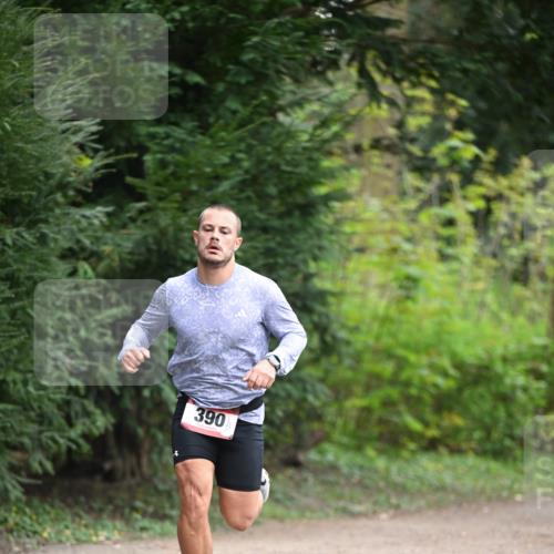 13.04.2025 - Hammer Lauf Dr. Thomas Lammeyer http://msf.ph/oto/7651612 13.04.2025 10:28:46 Laufen 390 meine-sportfotos.de