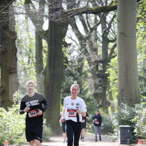 13.04.2025 - Hammer Lauf Jannik Wohlers http://msf.ph/oto/7651836 13.04.2025 10:47:16 Laufen 368, 16, 365 meine-sportfotos.de