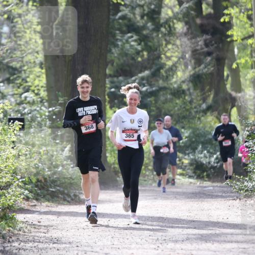 13.04.2025 - Hammer Lauf Jannik Wohlers http://msf.ph/oto/7651857 13.04.2025 10:47:13 Laufen 1, 368, 365, 665 meine-sportfotos.de
