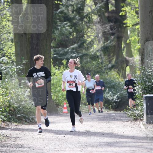 13.04.2025 - Hammer Lauf Jannik Wohlers http://msf.ph/oto/7651864 13.04.2025 10:47:12 Laufen 300, 365, 1024 meine-sportfotos.de