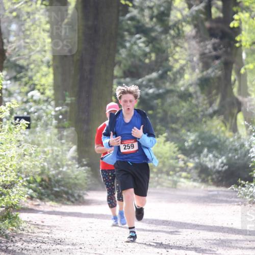 13.04.2025 - Hammer Lauf Jannik Wohlers http://msf.ph/oto/7652035 13.04.2025 10:46:03 Laufen 259 meine-sportfotos.de