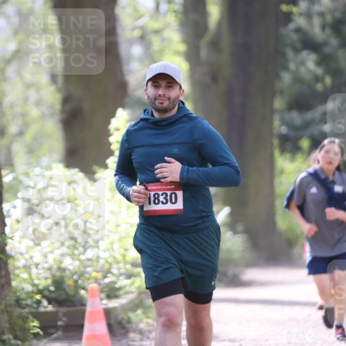13.04.2025 - Hammer Lauf Jannik Wohlers http://msf.ph/oto/7652075 13.04.2025 10:45:49 Laufen 15, 1830 meine-sportfotos.de