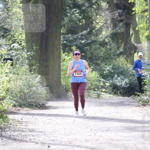 13.04.2025 - Hammer Lauf Jannik Wohlers http://msf.ph/oto/7652177 13.04.2025 10:45:15 Laufen 1164 meine-sportfotos.de