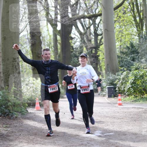 13.04.2025 - Hammer Lauf Jannik Wohlers http://msf.ph/oto/7652286 13.04.2025 10:44:38 Laufen 1993, 539, 1992 meine-sportfotos.de