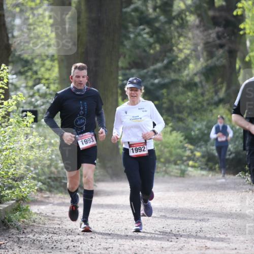 13.04.2025 - Hammer Lauf Jannik Wohlers http://msf.ph/oto/7652318 13.04.2025 10:44:34 Laufen 1993, 1992, 1788 meine-sportfotos.de