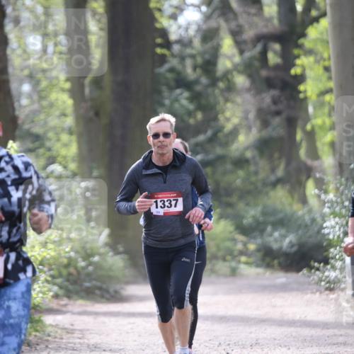 13.04.2025 - Hammer Lauf Jannik Wohlers http://msf.ph/oto/7652384 13.04.2025 10:44:18 Laufen 568, 15, 1337, 123, 123 meine-sportfotos.de