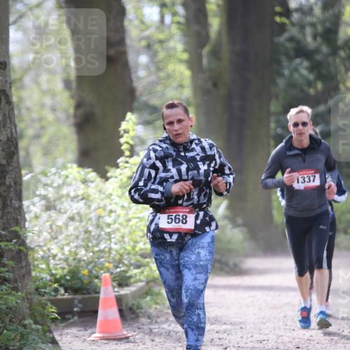 13.04.2025 - Hammer Lauf Jannik Wohlers http://msf.ph/oto/7652400 13.04.2025 10:44:17 Laufen 15, 568, 1337 meine-sportfotos.de