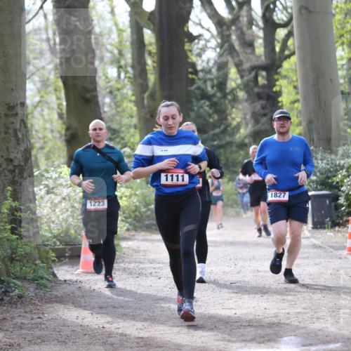 13.04.2025 - Hammer Lauf Jannik Wohlers http://msf.ph/oto/7652484 13.04.2025 10:44:04 Laufen 1223, 15, 1111, 1827 meine-sportfotos.de