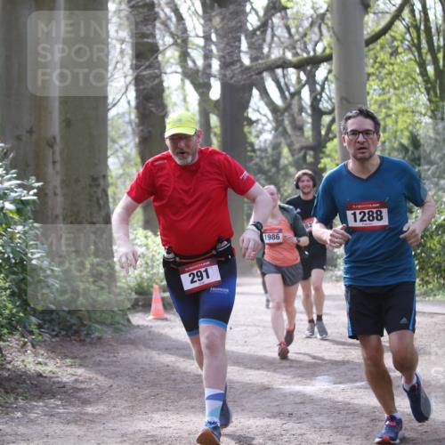 13.04.2025 - Hammer Lauf Jannik Wohlers http://msf.ph/oto/7652775 13.04.2025 10:42:28 Laufen 15, 291, 1986, 82, 15, 1288 meine-sportfotos.de