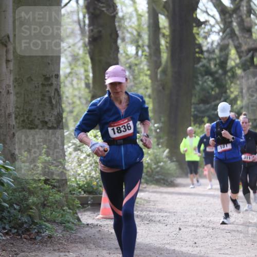 13.04.2025 - Hammer Lauf Jannik Wohlers http://msf.ph/oto/7652881 13.04.2025 10:42:14 Laufen 1836, 1428, 181, 311 meine-sportfotos.de