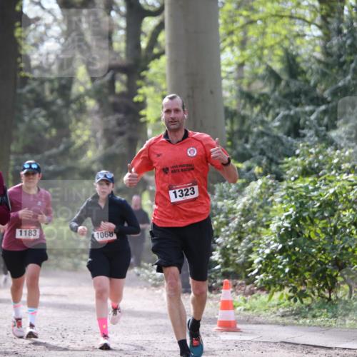 13.04.2025 - Hammer Lauf Jannik Wohlers http://msf.ph/oto/7653019 13.04.2025 10:41:44 Laufen 1342, 15, 1792, 1183, 1068, 1323 meine-sportfotos.de