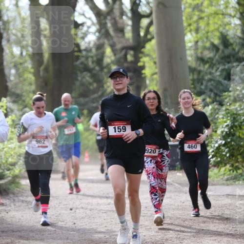 13.04.2025 - Hammer Lauf Jannik Wohlers http://msf.ph/oto/7653126 13.04.2025 10:41:24 Laufen 962, 743, 15, 159, 920, 460 meine-sportfotos.de