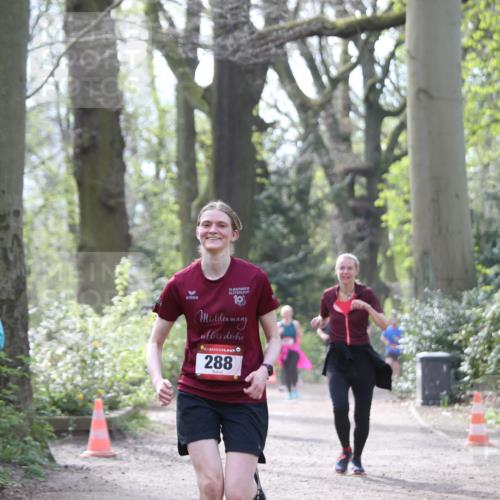 13.04.2025 - Hammer Lauf Jannik Wohlers http://msf.ph/oto/7653236 13.04.2025 10:41:00 Laufen 124, 30, 10, 288 meine-sportfotos.de