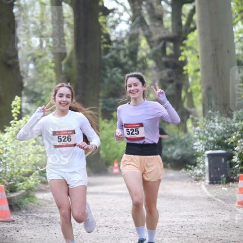 13.04.2025 - Hammer Lauf Jannik Wohlers http://msf.ph/oto/7653377 13.04.2025 10:40:19 Laufen 15, 526, 525 meine-sportfotos.de