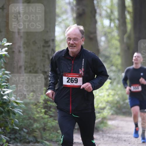 13.04.2025 - Hammer Lauf Jannik Wohlers http://msf.ph/oto/7653429 13.04.2025 10:40:11 Laufen 15, 269, 995, 8, 7 meine-sportfotos.de