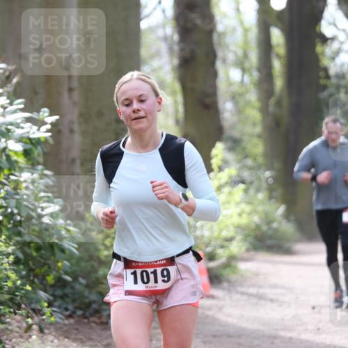 13.04.2025 - Hammer Lauf Jannik Wohlers http://msf.ph/oto/7653587 13.04.2025 10:39:36 Laufen 15, 1019, 47 meine-sportfotos.de