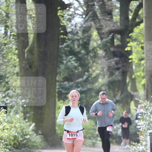 13.04.2025 - Hammer Lauf Jannik Wohlers http://msf.ph/oto/7653597 13.04.2025 10:39:32 Laufen 1019, 57 meine-sportfotos.de