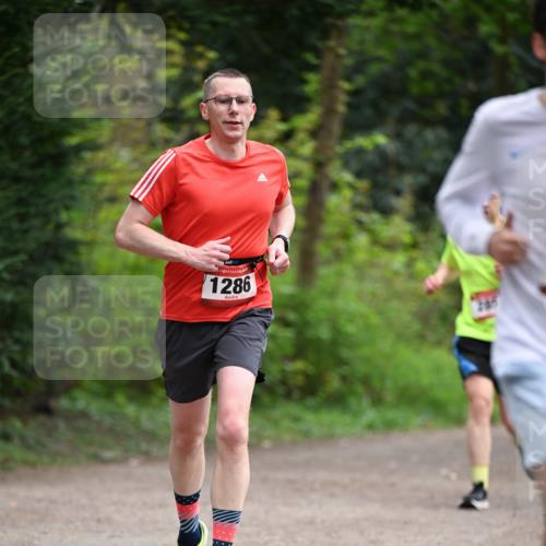 13.04.2025 - Hammer Lauf Dr. Thomas Lammeyer http://msf.ph/oto/7653696 13.04.2025 10:32:59 Laufen 1286 meine-sportfotos.de