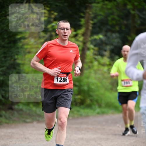13.04.2025 - Hammer Lauf Dr. Thomas Lammeyer http://msf.ph/oto/7653700 13.04.2025 10:32:59 Laufen 1286 meine-sportfotos.de