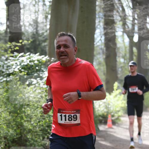 13.04.2025 - Hammer Lauf Jannik Wohlers http://msf.ph/oto/7653701 13.04.2025 10:38:52 Laufen 15, 1189, 2014 meine-sportfotos.de