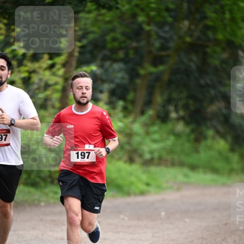 13.04.2025 - Hammer Lauf Dr. Thomas Lammeyer http://msf.ph/oto/7653854 13.04.2025 10:33:10 Laufen 97, 5, 197 meine-sportfotos.de