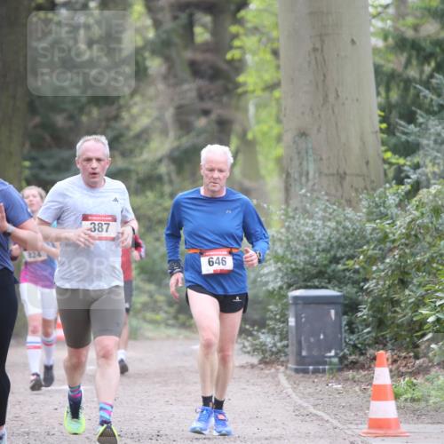 13.04.2025 - Hammer Lauf Jannik Wohlers http://msf.ph/oto/7654046 13.04.2025 10:37:09 Laufen 15, 904, 824, 387, 646 meine-sportfotos.de