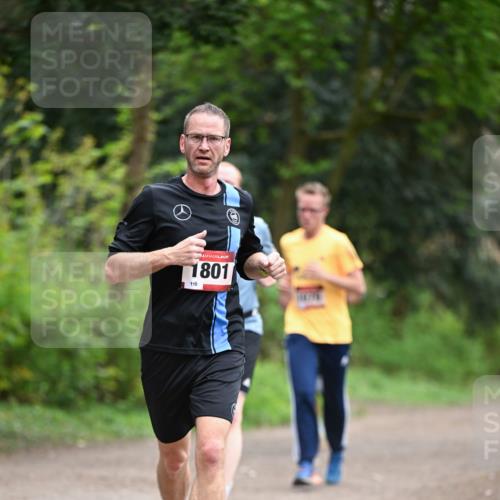 13.04.2025 - Hammer Lauf Dr. Thomas Lammeyer http://msf.ph/oto/7654081 13.04.2025 10:33:29 Laufen 1801, 110 meine-sportfotos.de