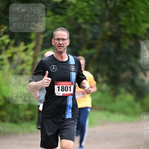 13.04.2025 - Hammer Lauf Dr. Thomas Lammeyer http://msf.ph/oto/7654097 13.04.2025 10:33:30 Laufen 15, 1801, 110 meine-sportfotos.de