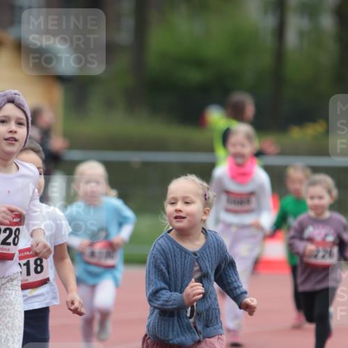 13.04.2025 - Hammer Lauf A. Gomolzig http://msf.ph/oto/7654848 13.04.2025 09:02:42 Ziel  meine-sportfotos.de