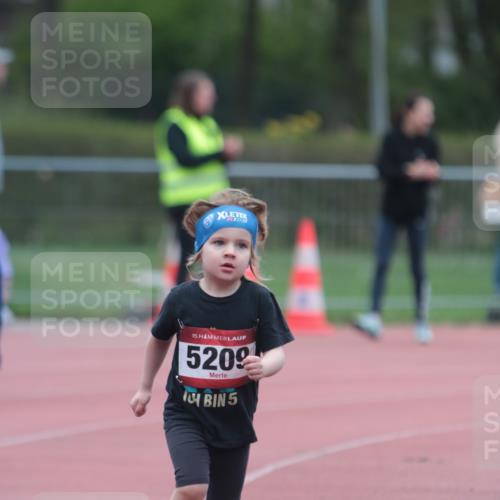 13.04.2025 - Hammer Lauf A. Gomolzig http://msf.ph/oto/7654875 13.04.2025 09:02:59 Ziel  meine-sportfotos.de