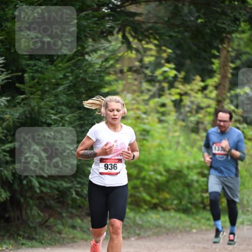 13.04.2025 - Hammer Lauf Dr. Thomas Lammeyer http://msf.ph/oto/7655226 13.04.2025 10:36:24 Laufen 15, 936, 133 meine-sportfotos.de