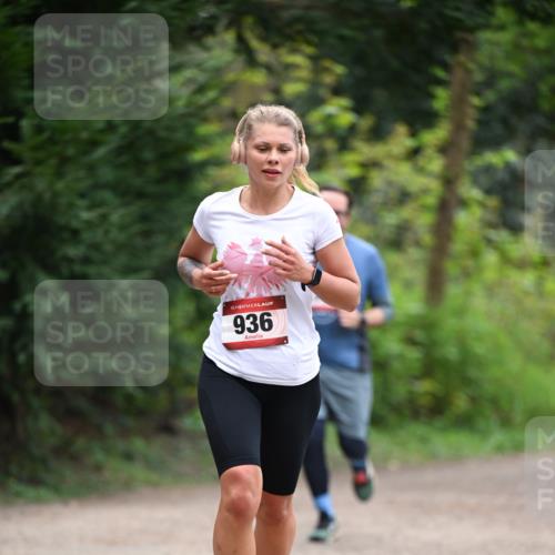 13.04.2025 - Hammer Lauf Dr. Thomas Lammeyer http://msf.ph/oto/7655266 13.04.2025 10:36:25 Laufen 15, 936 meine-sportfotos.de