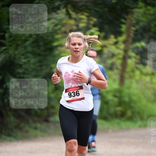 13.04.2025 - Hammer Lauf Dr. Thomas Lammeyer http://msf.ph/oto/7655270 13.04.2025 10:36:26 Laufen 15, 936 meine-sportfotos.de