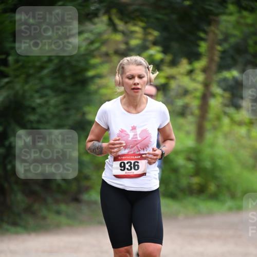 13.04.2025 - Hammer Lauf Dr. Thomas Lammeyer http://msf.ph/oto/7655274 13.04.2025 10:36:26 Laufen 15, 936 meine-sportfotos.de
