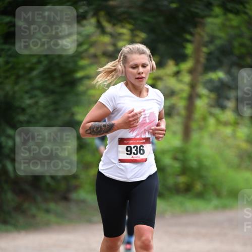 13.04.2025 - Hammer Lauf Dr. Thomas Lammeyer http://msf.ph/oto/7655278 13.04.2025 10:36:26 Laufen 15, 936 meine-sportfotos.de