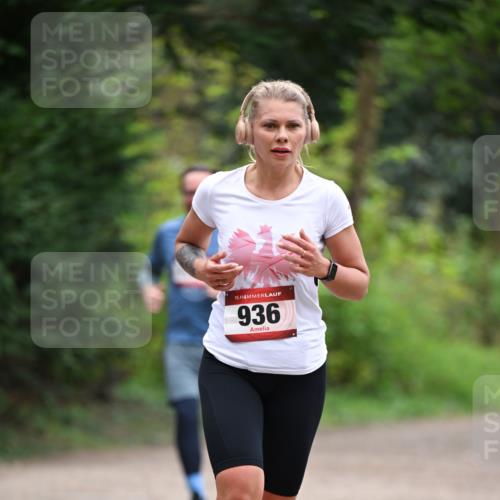 13.04.2025 - Hammer Lauf Dr. Thomas Lammeyer http://msf.ph/oto/7655284 13.04.2025 10:36:26 Laufen 15, 936 meine-sportfotos.de