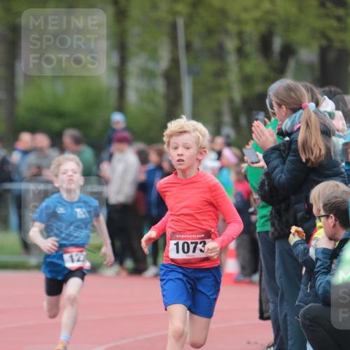 13.04.2025 - Hammer Lauf A. Gomolzig http://msf.ph/oto/7655371 13.04.2025 09:22:23 Ziel 782, 822, 1073, 1221, 1915 meine-sportfotos.de