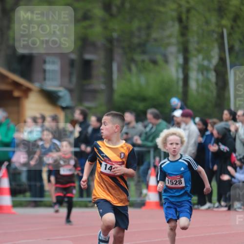 13.04.2025 - Hammer Lauf A. Gomolzig http://msf.ph/oto/7655436 13.04.2025 09:22:43 Ziel 535, 672, 931, 968, 1034, 1050, 1259, 1306, 1402, 1528, 1726, 1790 meine-sportfotos.de