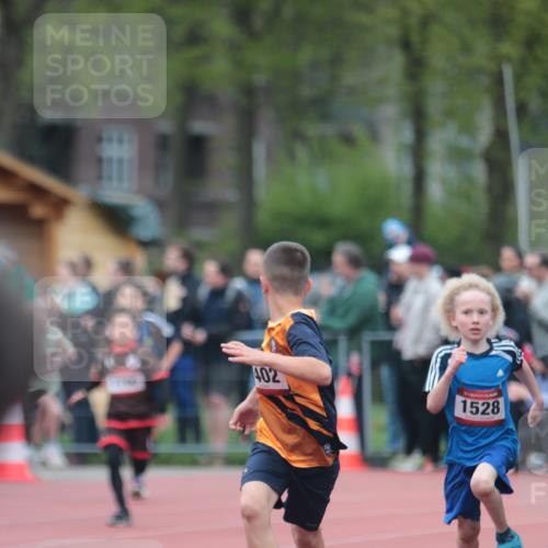 13.04.2025 - Hammer Lauf A. Gomolzig http://msf.ph/oto/7655440 13.04.2025 09:22:44 Ziel 535, 672, 931, 968, 1034, 1050, 1235, 1259, 1306, 1402, 1528, 1726, 1790 meine-sportfotos.de