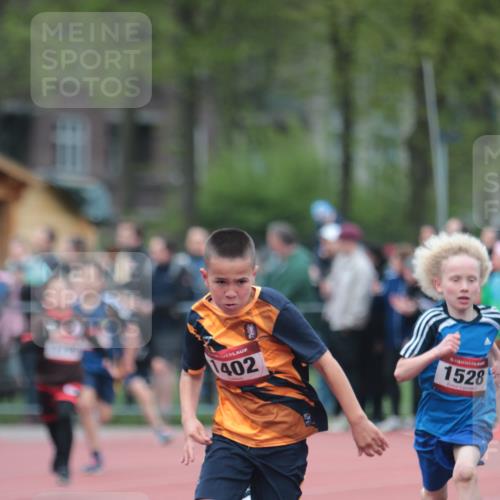 13.04.2025 - Hammer Lauf A. Gomolzig http://msf.ph/oto/7655443 13.04.2025 09:22:44 Ziel 535, 672, 931, 968, 1034, 1050, 1235, 1259, 1306, 1402, 1528, 1726, 1790 meine-sportfotos.de