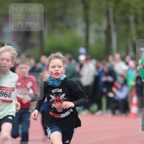 13.04.2025 - Hammer Lauf A. Gomolzig http://msf.ph/oto/7655466 13.04.2025 09:22:50 Ziel 535, 883, 909, 931, 968, 1034, 1038, 1050, 1102, 1235, 1259, 1306, 1417, 1726, 1833 meine-sportfotos.de