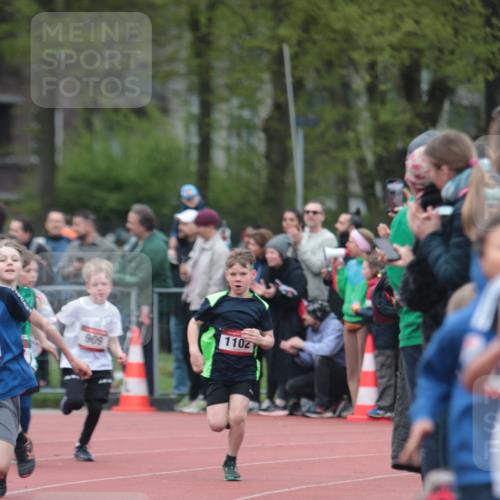 13.04.2025 - Hammer Lauf A. Gomolzig http://msf.ph/oto/7655474 13.04.2025 09:22:54 Ziel 784, 883, 909, 978, 996, 1038, 1102, 1235, 1308, 1417, 1833 meine-sportfotos.de