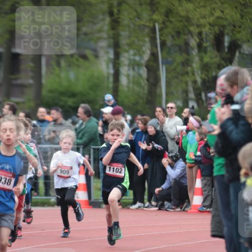13.04.2025 - Hammer Lauf A. Gomolzig http://msf.ph/oto/7655476 13.04.2025 09:22:54 Ziel 784, 883, 909, 978, 996, 1038, 1102, 1235, 1308, 1417, 1833 meine-sportfotos.de