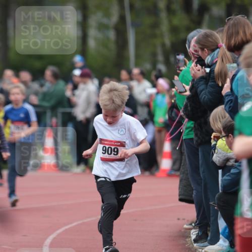13.04.2025 - Hammer Lauf A. Gomolzig http://msf.ph/oto/7655489 13.04.2025 09:22:57 Ziel 613, 701, 784, 883, 909, 910, 972, 978, 996, 1308, 1833 meine-sportfotos.de