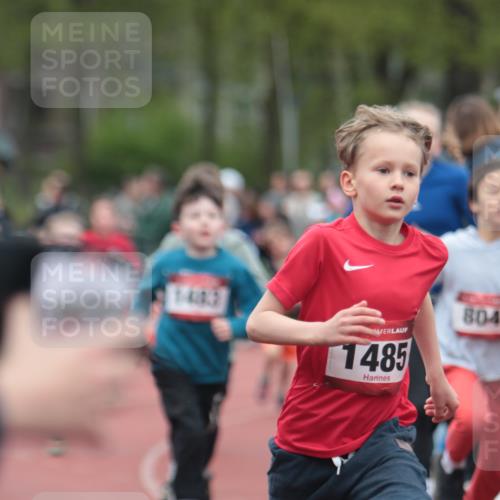13.04.2025 - Hammer Lauf A. Gomolzig http://msf.ph/oto/7655574 13.04.2025 09:23:30 Ziel 596, 834, 887, 892, 898, 928, 933, 1020, 1089, 1157, 1424, 1483, 1485, 1514, 1517, 1534, 1545, 1879 meine-sportfotos.de
