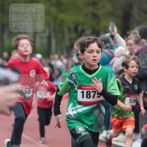 13.04.2025 - Hammer Lauf A. Gomolzig http://msf.ph/oto/7655585 13.04.2025 09:23:34 Ziel 531, 541, 596, 629, 834, 892, 898, 933, 952, 1157, 1159, 1242, 1332, 1358, 1420, 1435, 1514, 1520, 1534, 1545, 1622, 1879 meine-sportfotos.de